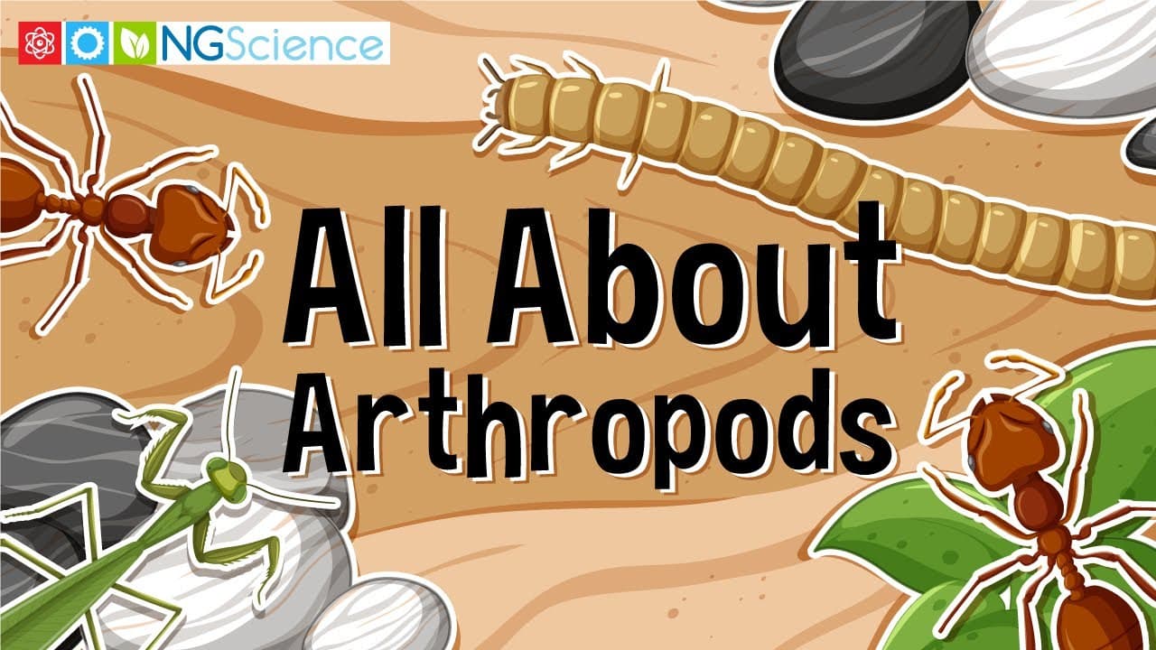 Exploring the Amazing World of Arthropods