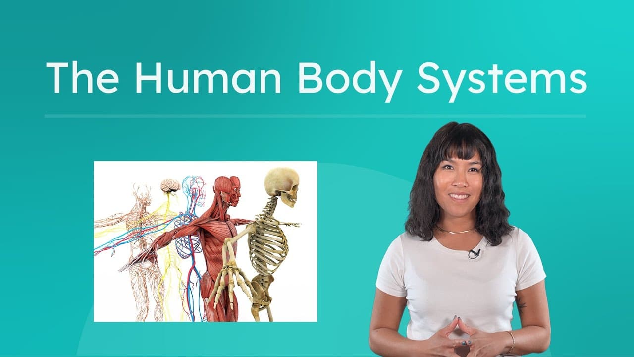 How Your Body Works: Investigating the 11 Organ Systems