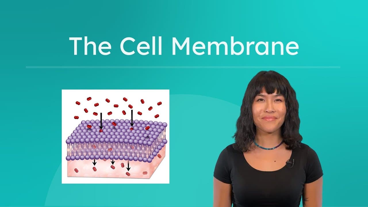 Exploring the Structure and Function of the Cell Membrane