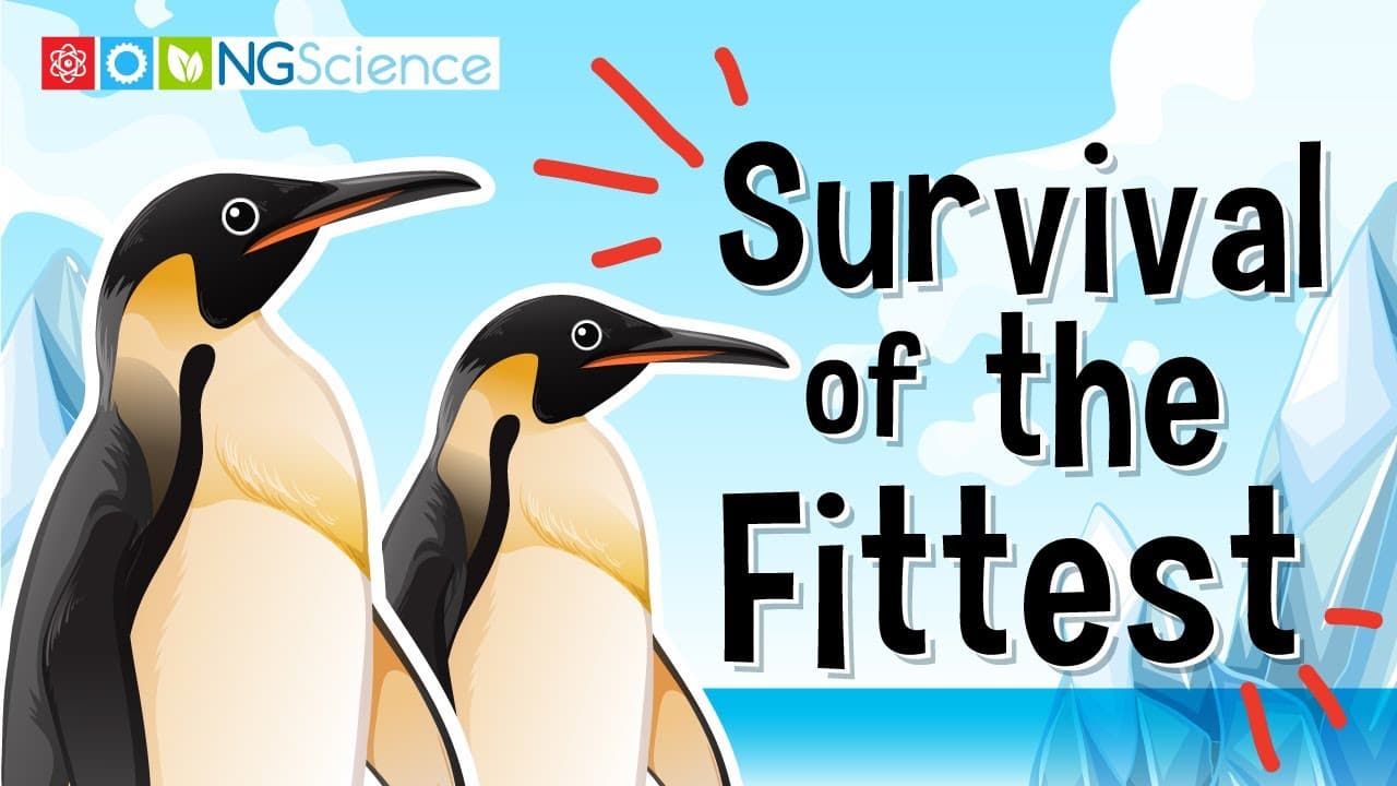 How Animals Adapt and Survive: Natural Selection Explained