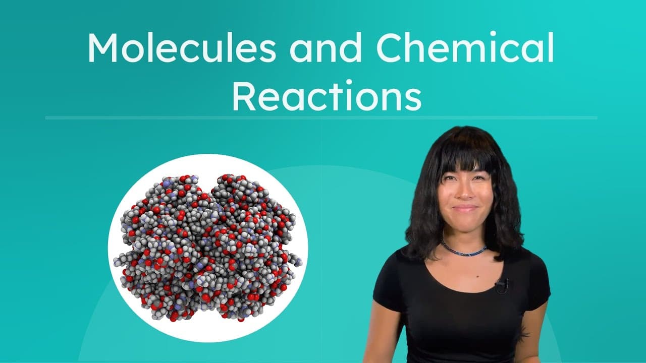 How Molecules and Chemical Reactions Power Life