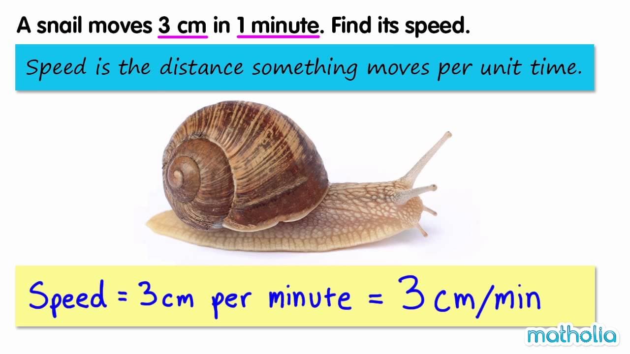 Introduction to Speed: Distance Over Time