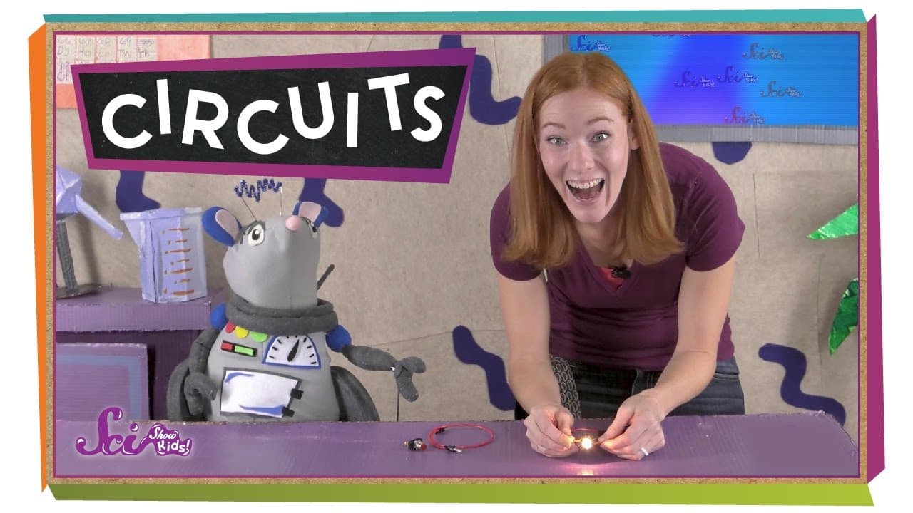 How Electric Circuits and Switches Work