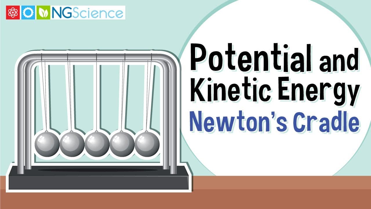 Visualizing Energy Transformations in a Newton's Cradle