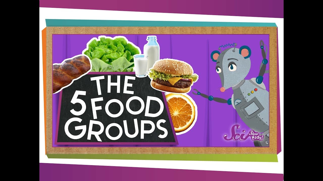 Exploring the Five Food Groups