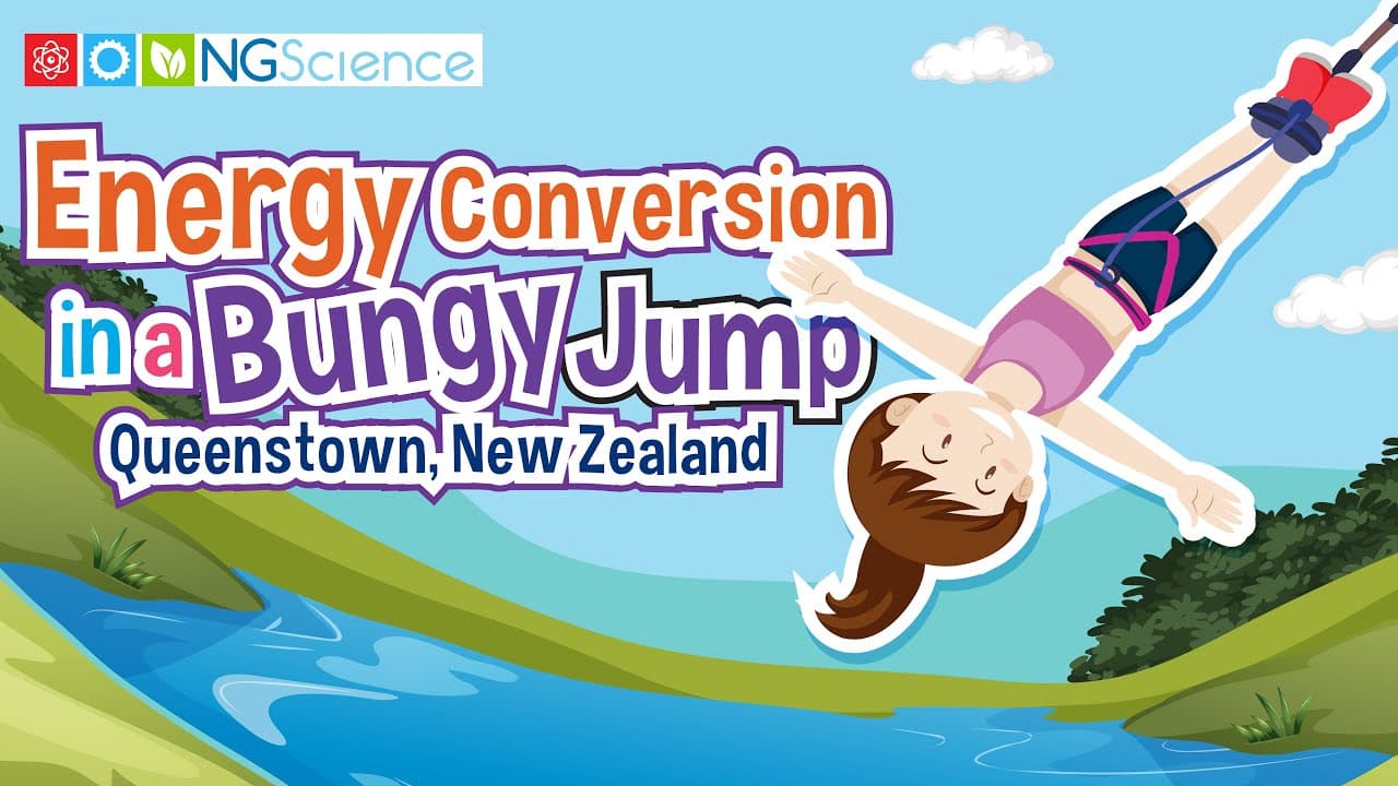 How Energy Transforms During a Bungee Jump