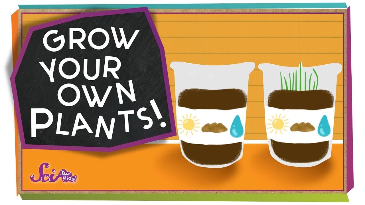 Testing What Plants Need to Grow: A Hands-On Experiment