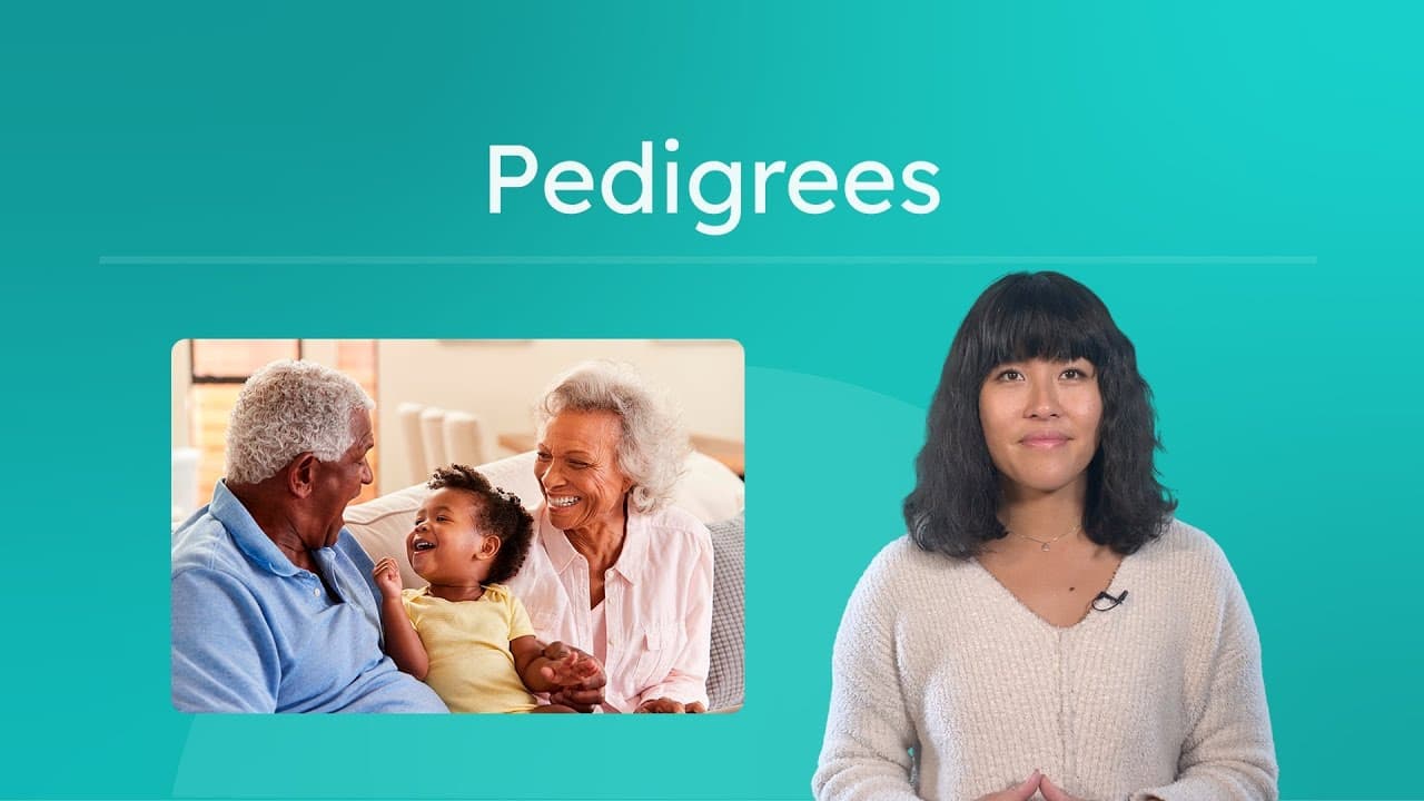 How to Analyze Pedigrees in Genetics Using Fruit Flies