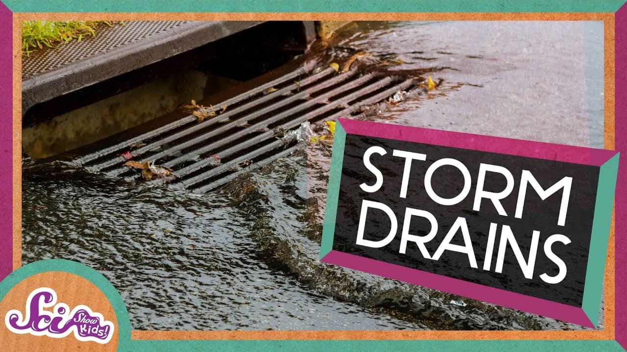 How Storm Drains Work and Where Runoff Goes