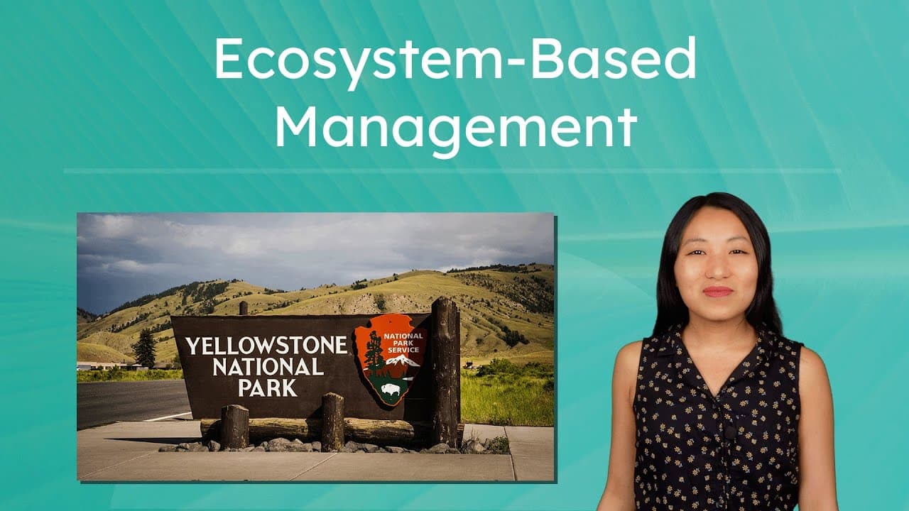 How Science and Wolves Restored Yellowstone's Ecosystem