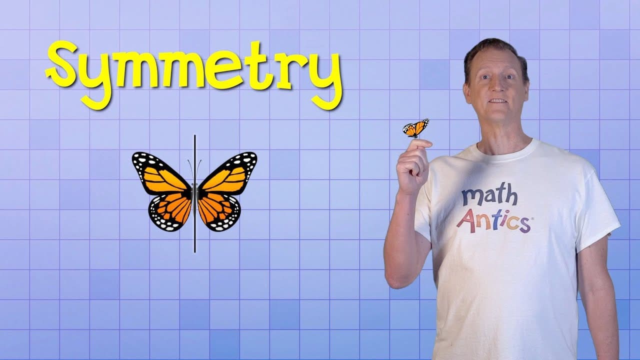 Line and Rotational Symmetry Explained
