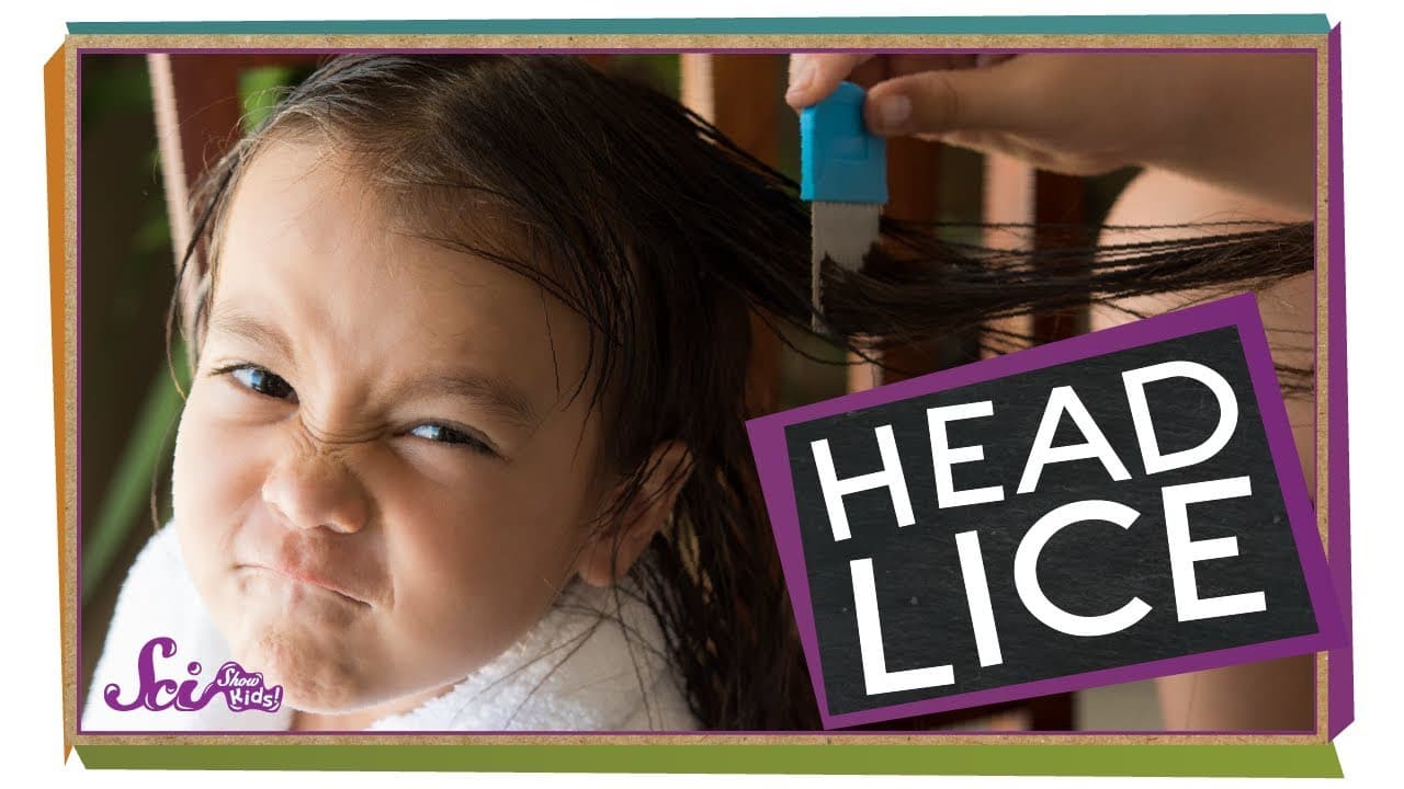 The Science of Head Lice: Myths, Biology, and Treatment