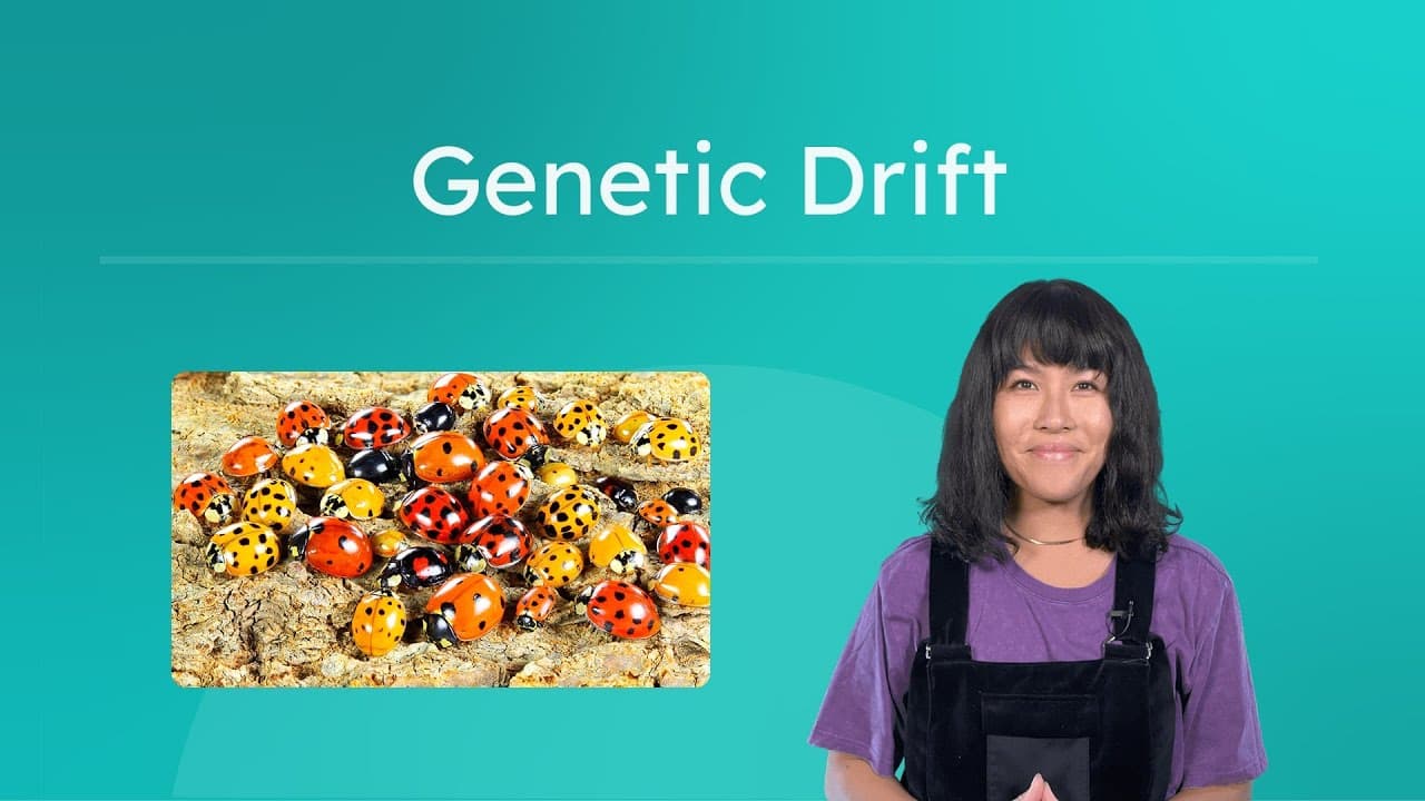 How Random Luck Shapes Evolution: Understanding Genetic Drift