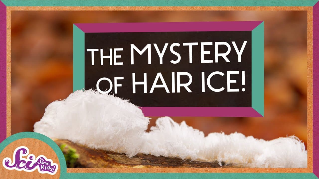 The Mystery of Hair Ice: How Water Cohesion Creates Strange Shapes