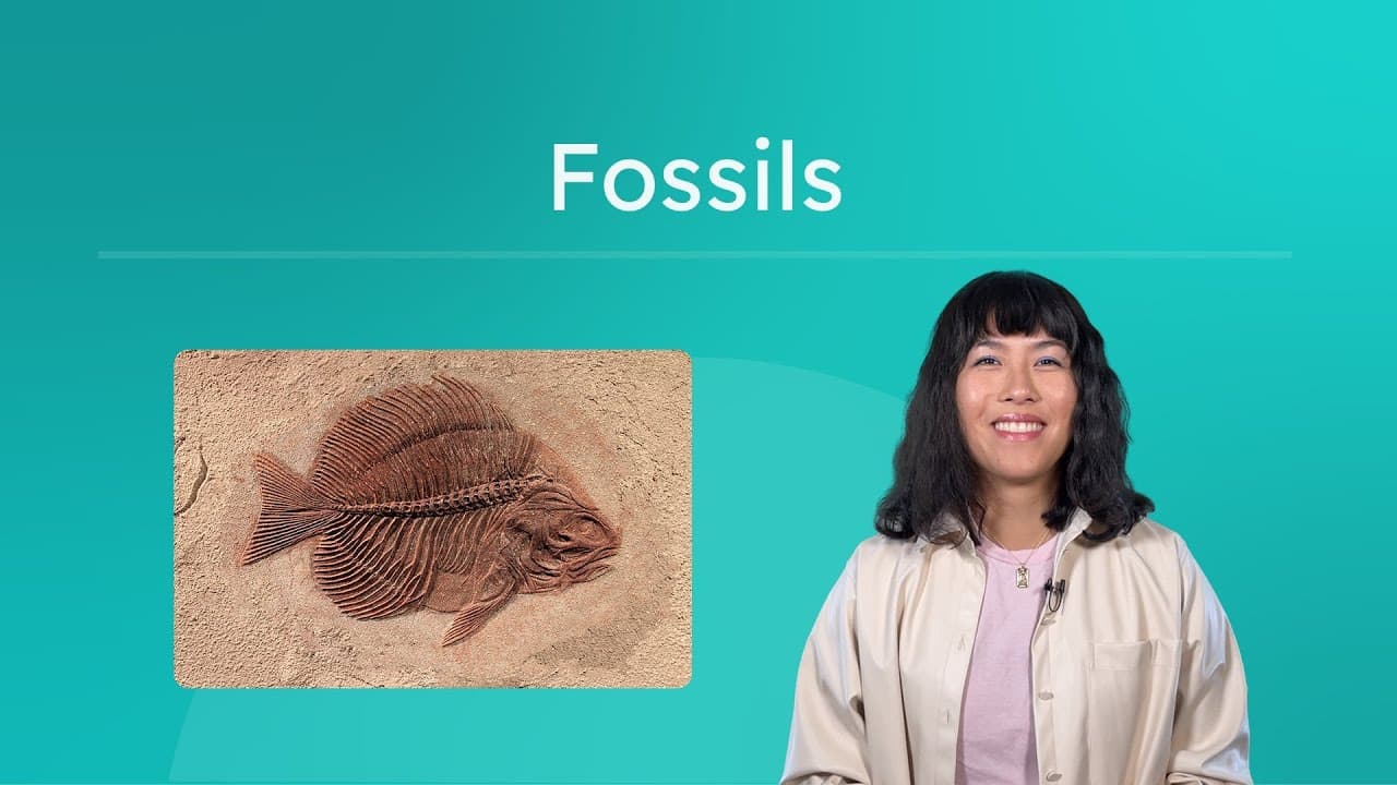 How Fossils Form and How Scientists Date Them