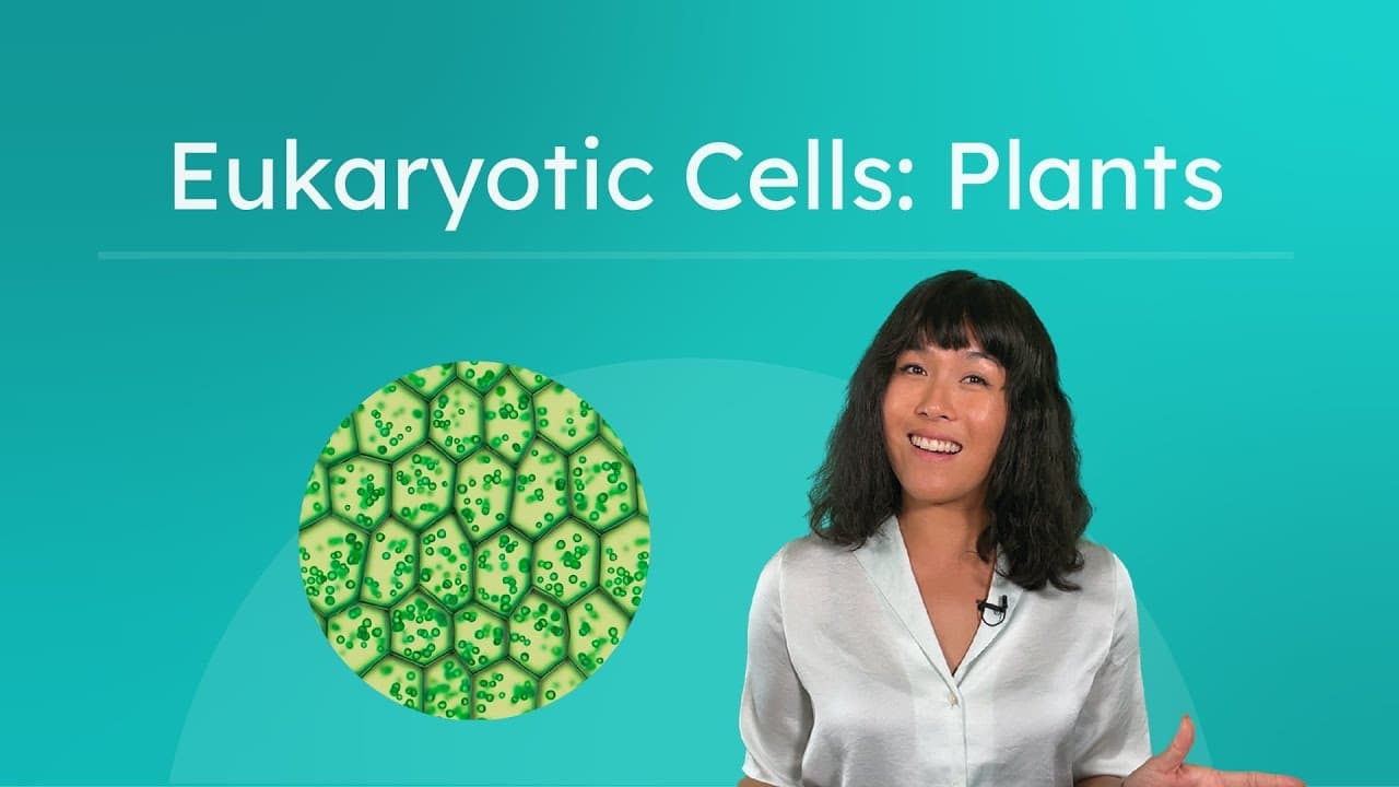 How Plant Cells Function and Differ From Animal Cells