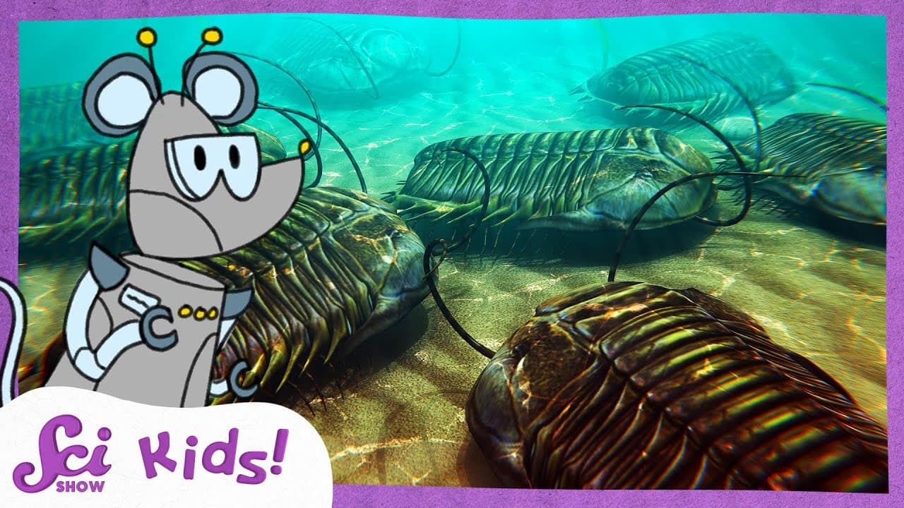 Traveling Back in Time to Meet Trilobites