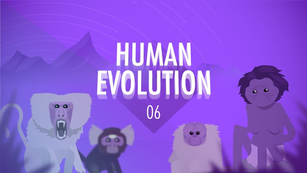 Human Evolution and the Rise of Collective Learning