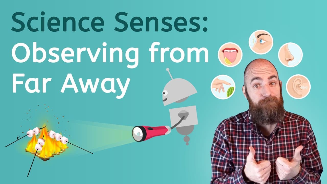 Observing the World Through Our Senses