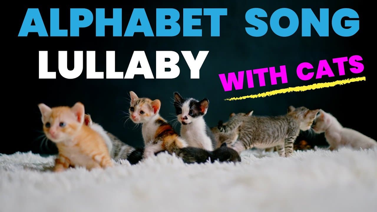 Singing the Alphabet with Playful Kittens