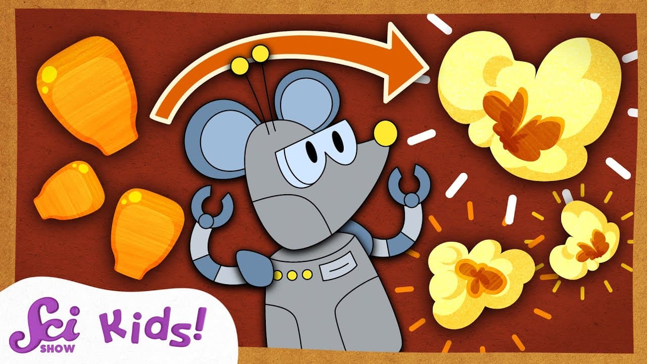 The Science of How Popcorn Pops