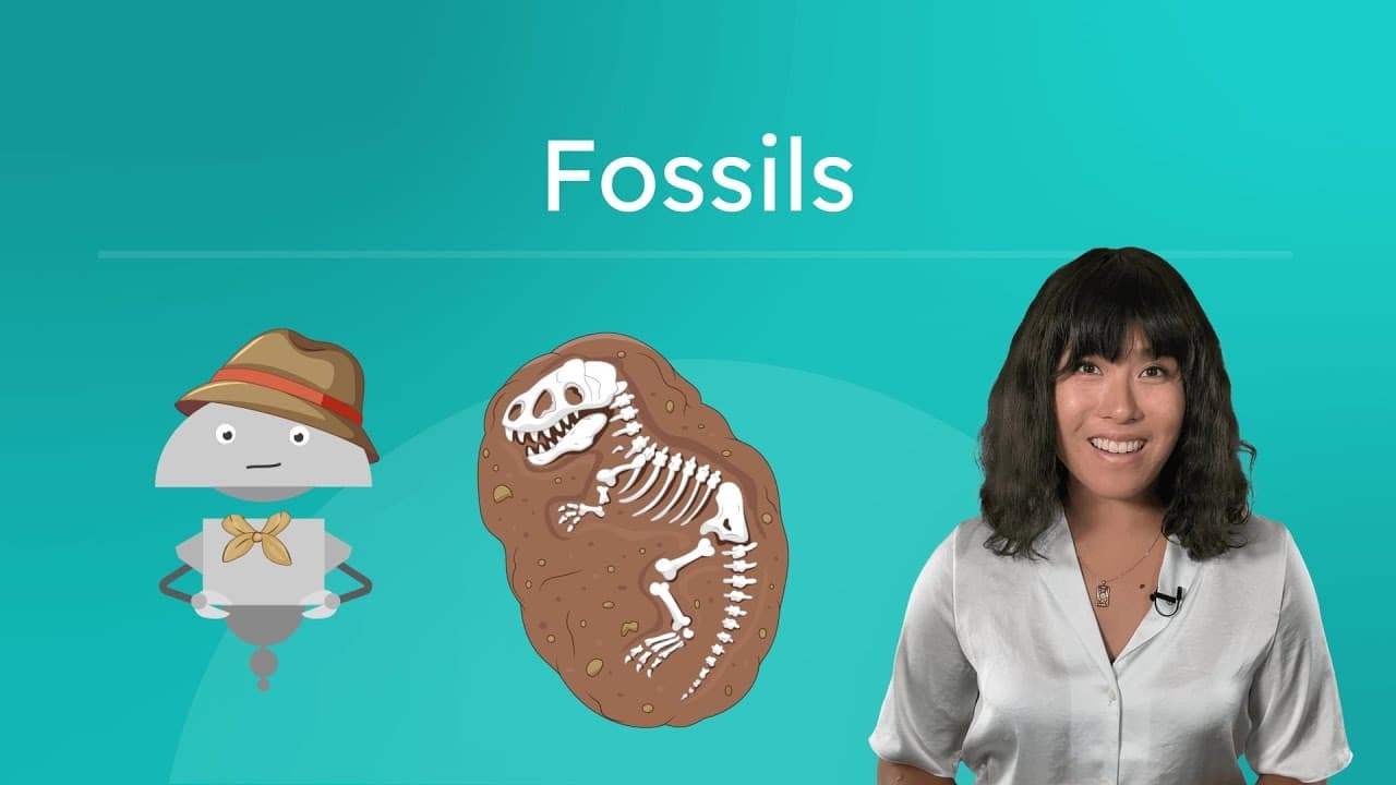 How Fossils Form and What They Tell Us