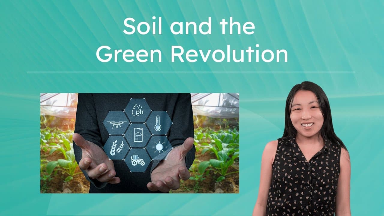 The Green Revolution: Agricultural Innovation and Environmental Impact