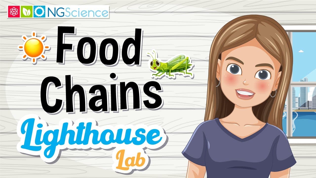 Exploring Food Chains in a Pond Ecosystem