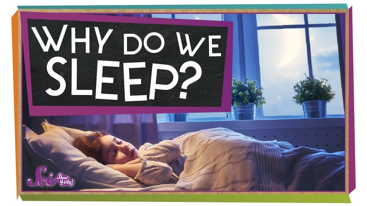 Why Sleep Is Important for Your Brain and Body