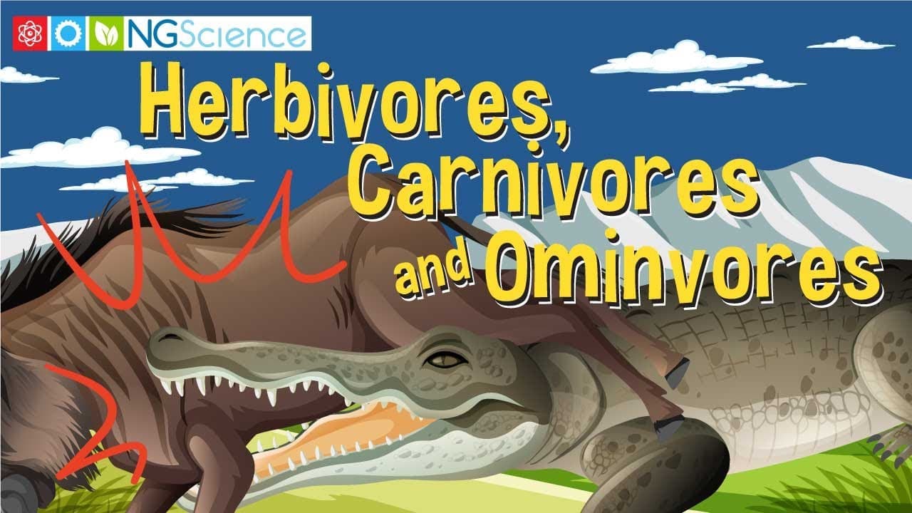 Exploring Animal Diets: Herbivores, Carnivores, and Omnivores
