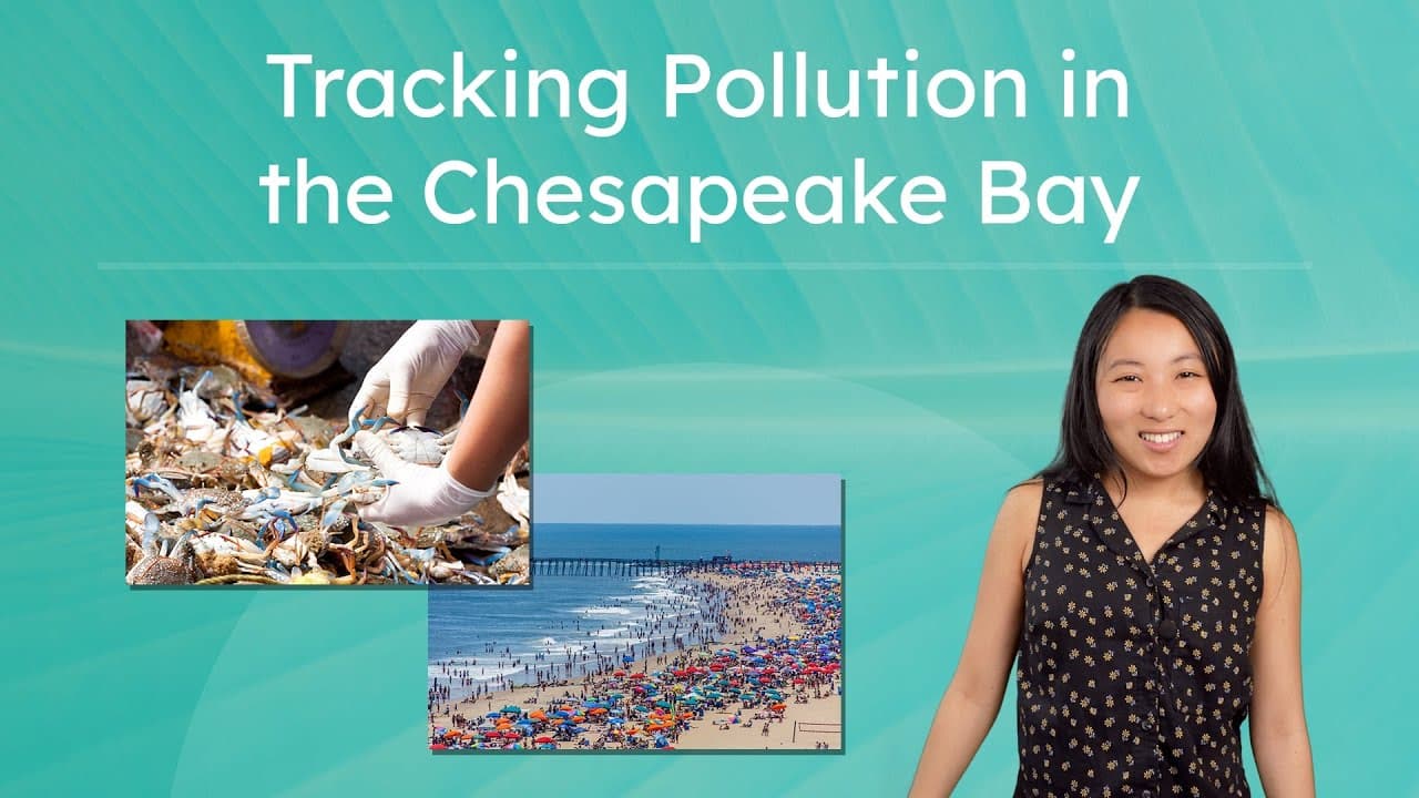 How Pollution Creates Dead Zones in the Chesapeake Bay