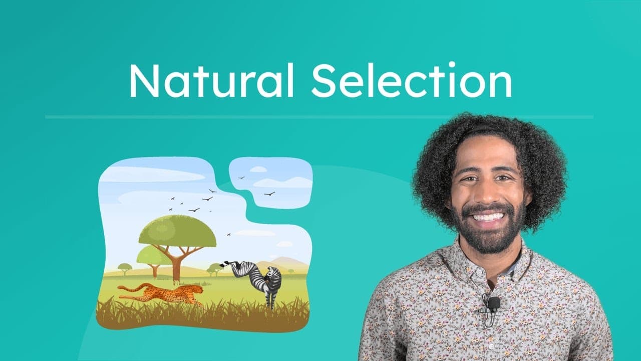 How Natural Selection Drives Adaptation and Survival