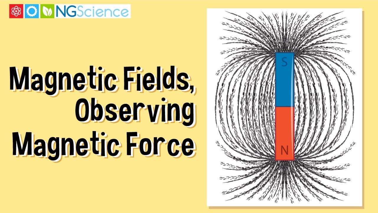 Visualizing Invisible Magnetic Fields