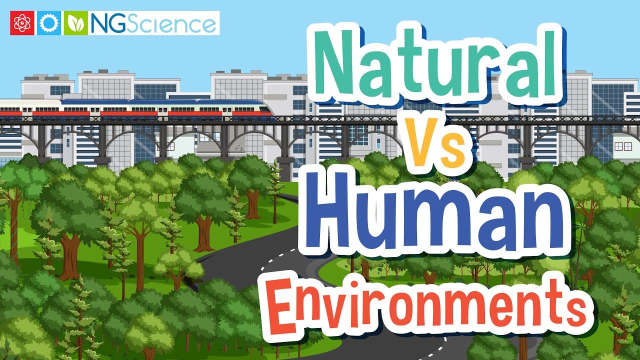 Comparing Natural and Human-Made Environments