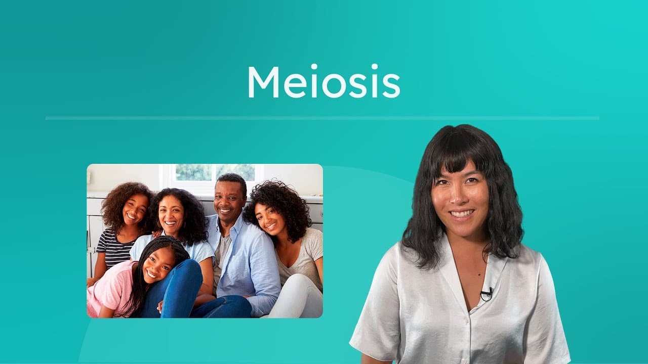 How Meiosis Creates Unique Reproductive Cells