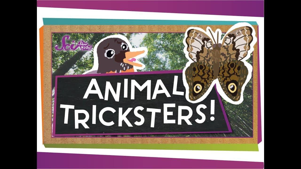 Animal Imposters: How Mimicry Helps Creatures Survive