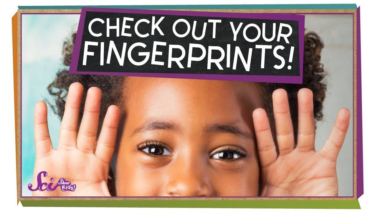 Unlocking the Secrets of Your Unique Fingerprints
