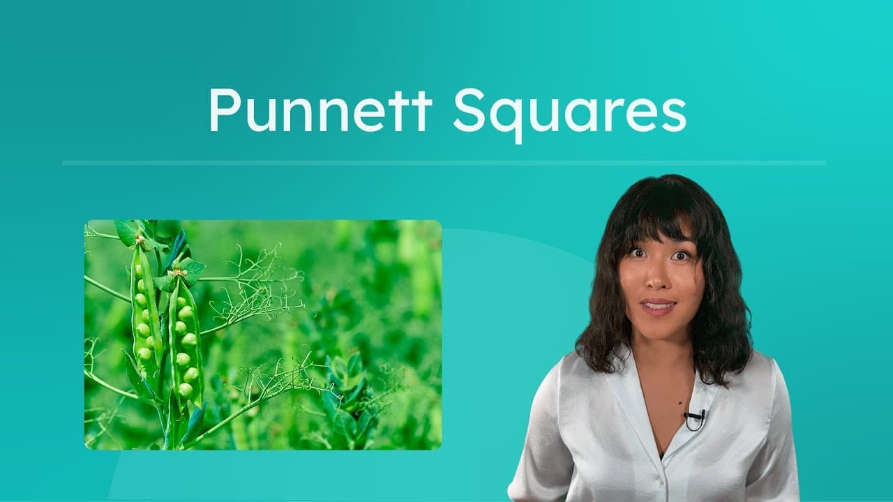Predicting Genetic Traits: A Guide to Punnett Squares