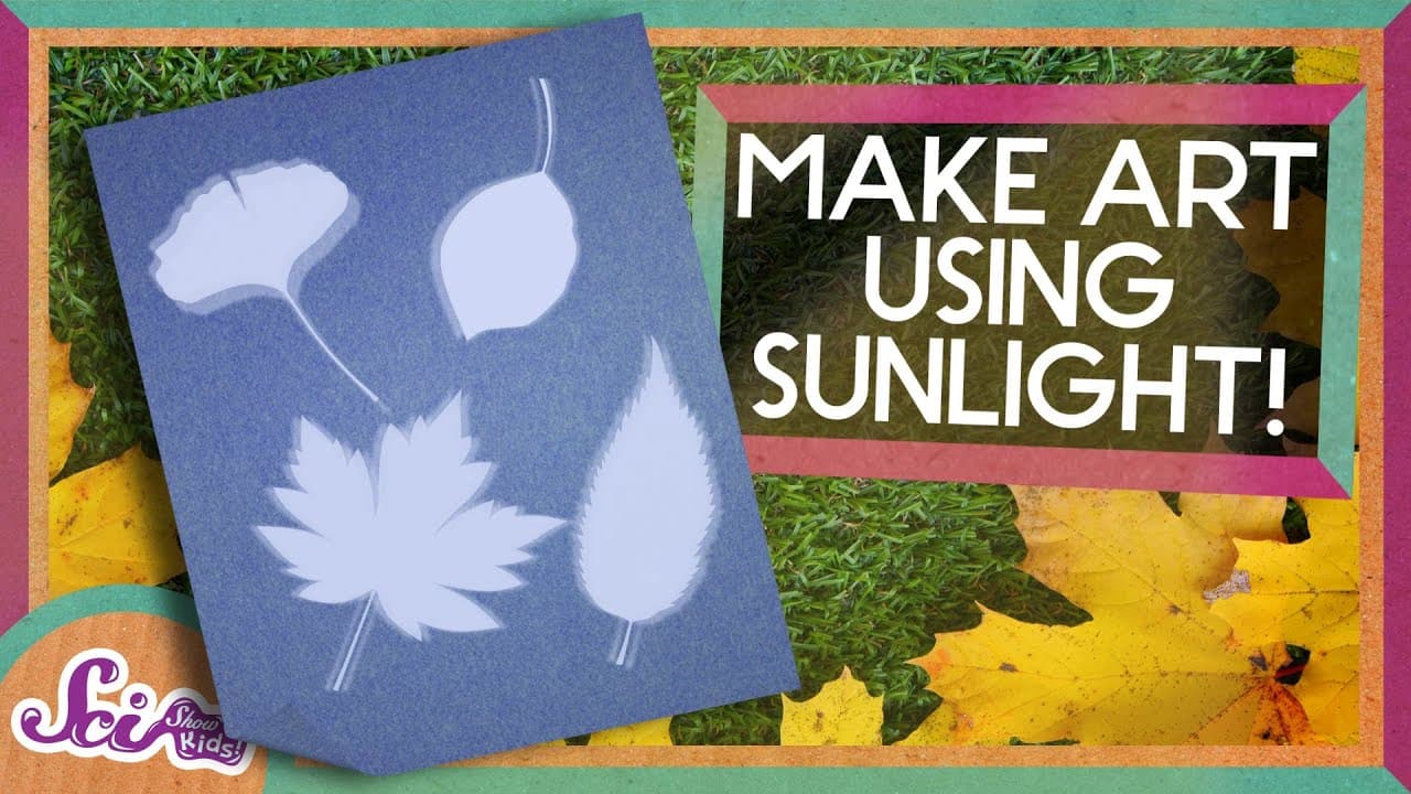 Making Art with the Sun: The Science of Cyanotypes