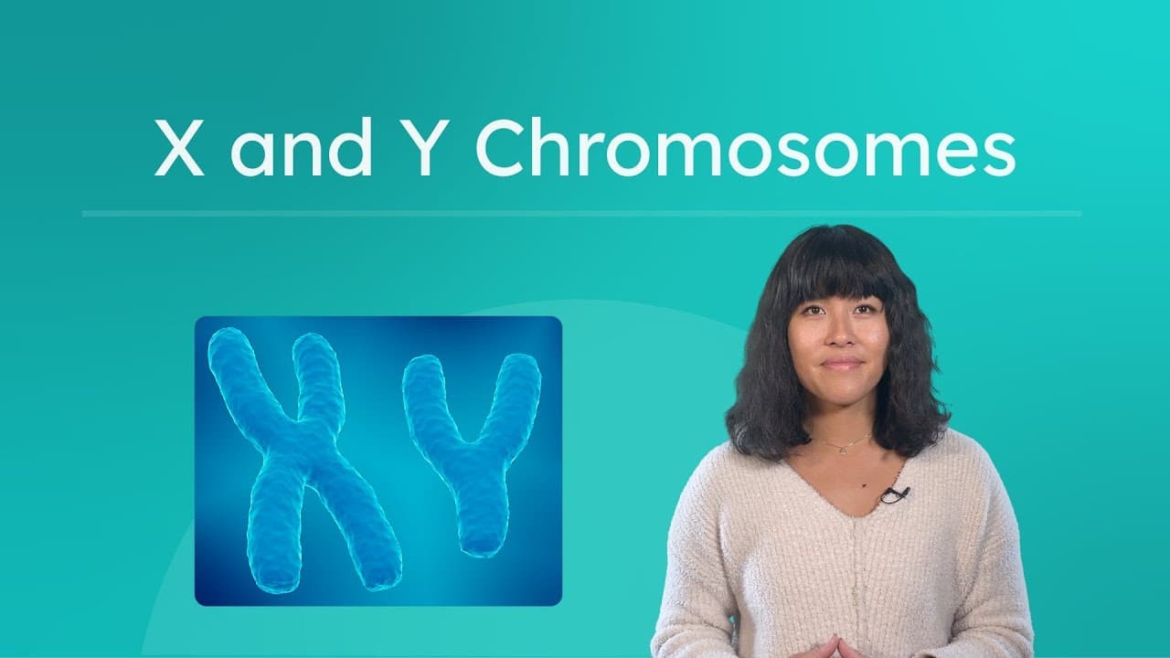 How Sex Chromosomes Determine Biological Sex and Traits