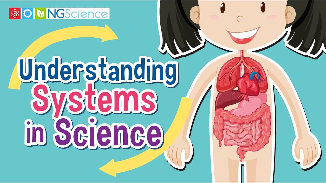 Exploring How Systems Work in Nature and Machines