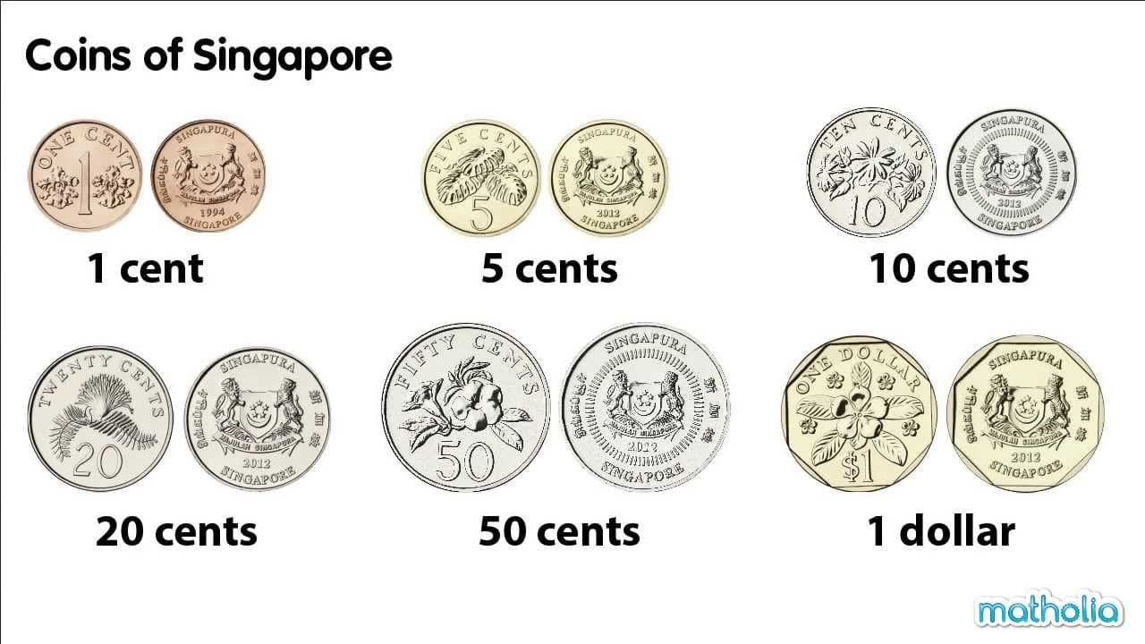 Identifying the Coins of Singapore