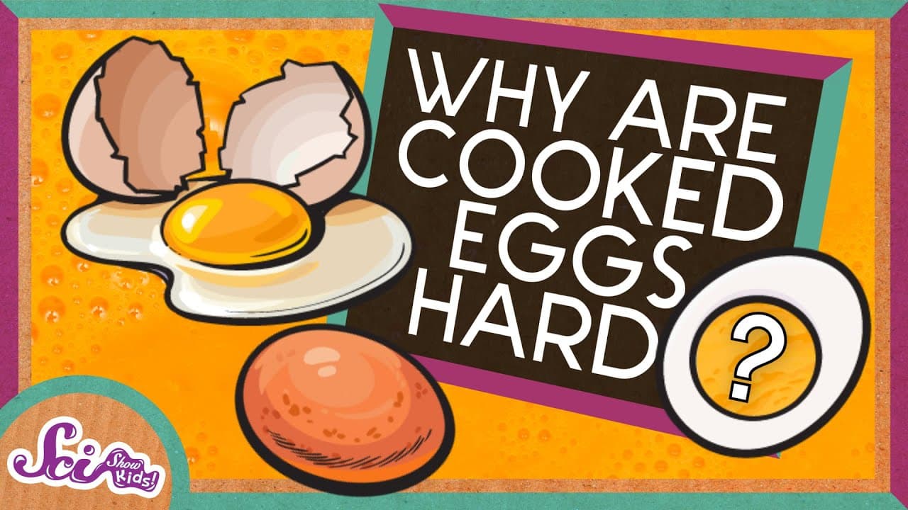 How Heat Turns Liquid Eggs Into Solids