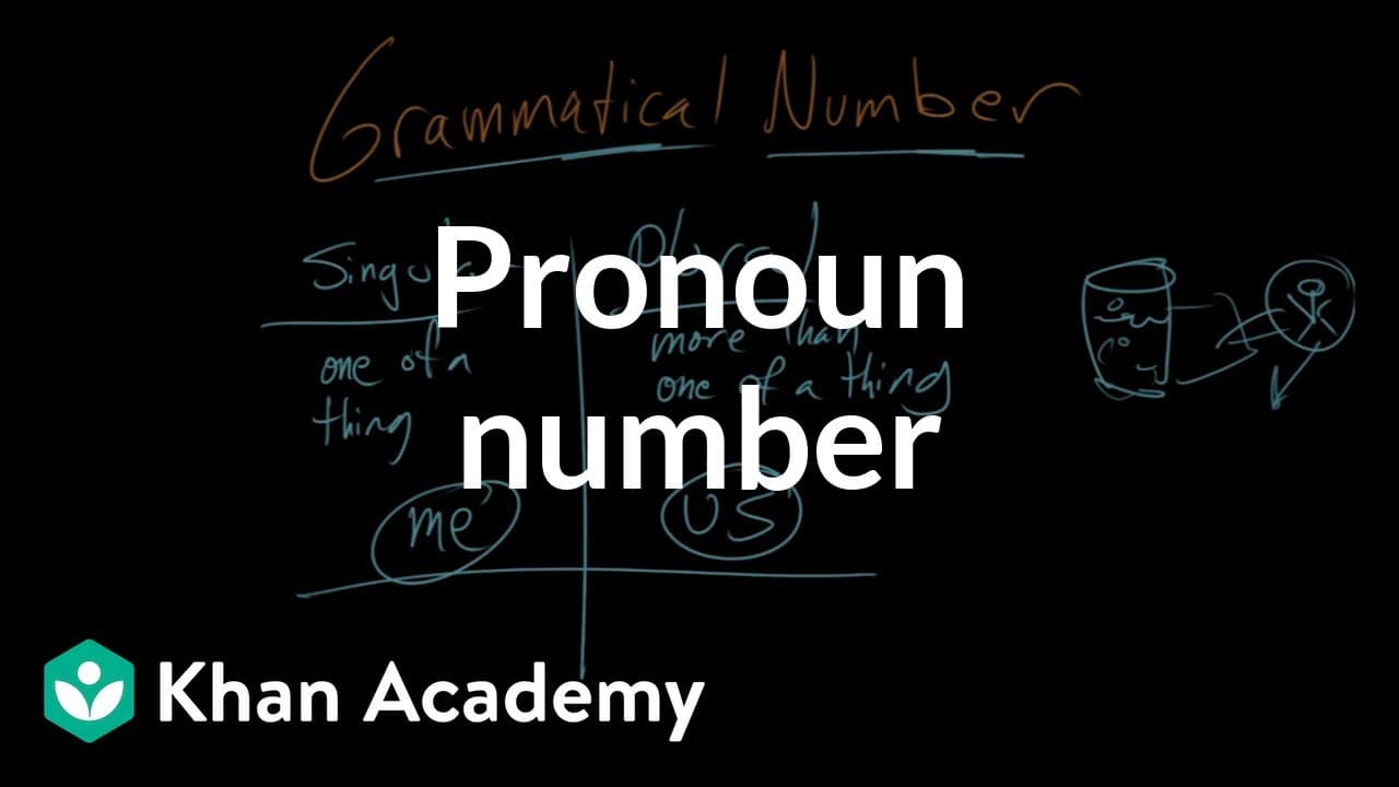 Understanding Grammatical Number and Pronoun Agreement
