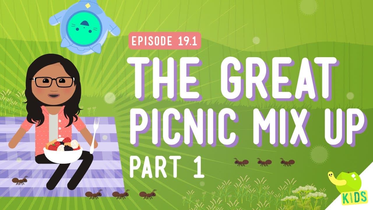 Understanding Mixtures and Solutions at a Picnic