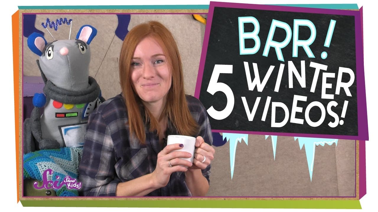 Exploring Winter: Seasons, Snow Science, and Animal Adaptations