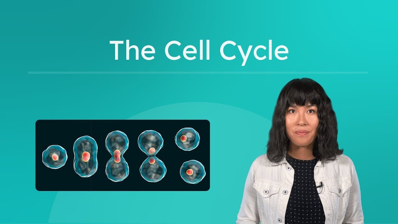 How Cells Grow and Divide: The Cell Cycle Explained