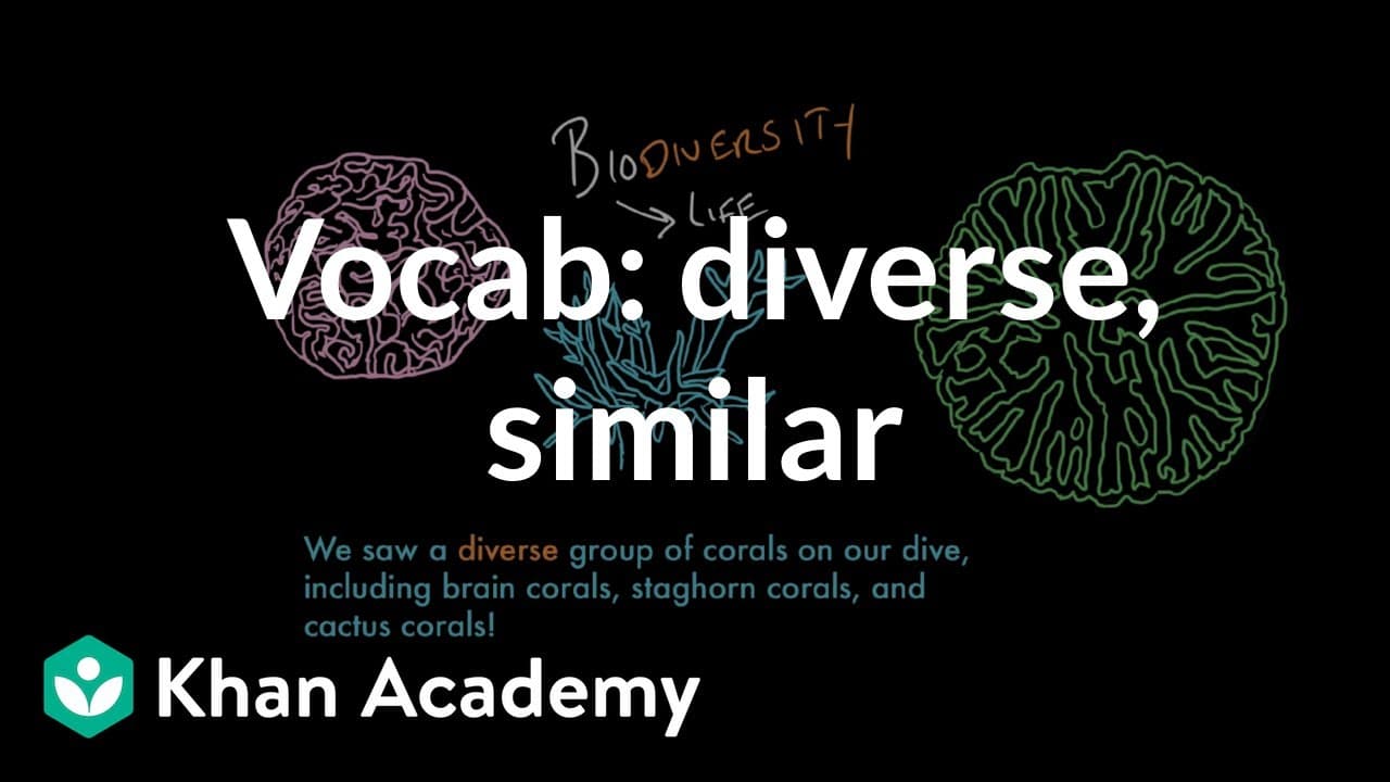 Mastering Vocabulary: Diverse and Similar
