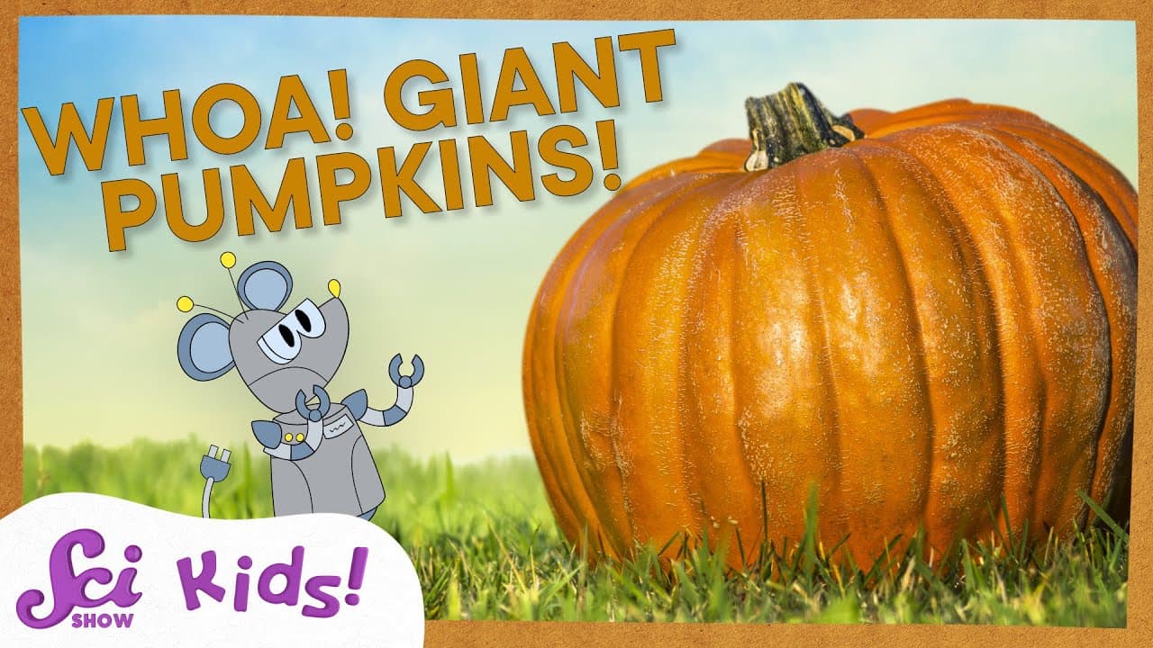 The Science of Growing Giant Pumpkins