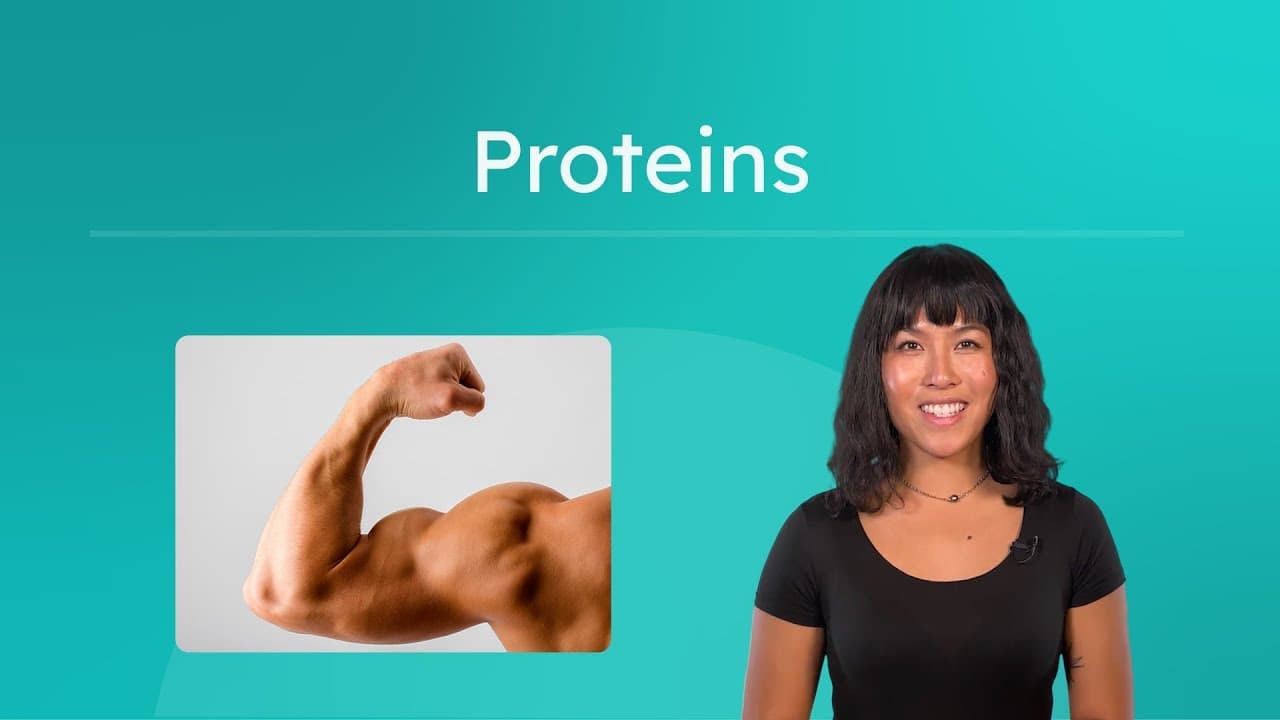 How Proteins Work: Enzymes, Muscles, and More